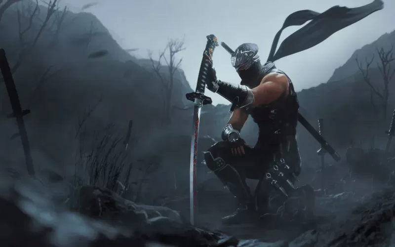 Ninja Gaiden 2 Black Remake