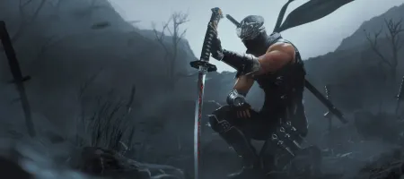 Ninja Gaiden 2 Black Remake