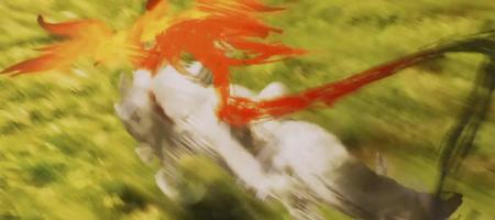 Ōkami