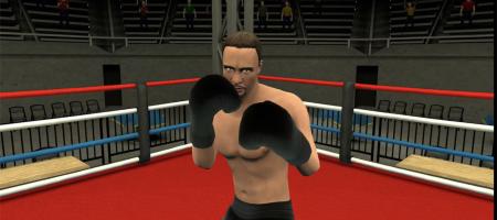 Golden Gloves VR