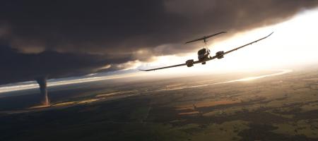 Microsoft Flight Simulator