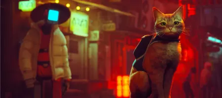 Stray