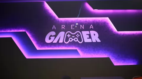 Arena Gamer