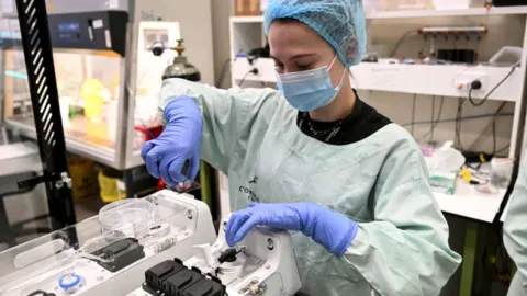 Cientifico