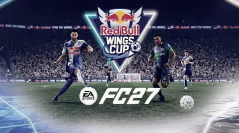 RedBull Wings Cup