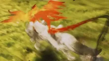 Ōkami