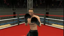 Golden Gloves VR